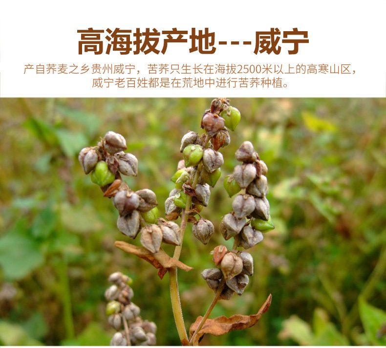 天猫【7斤】贵州特产kdh杂粮粗粮苦荞面