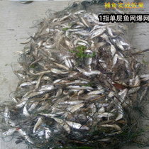 Single layer catch small fish sticky net Small eye wire mesh hanging net Meal bar Ma Kou sink net floating net Small white fish net Fishing net