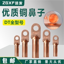 DT copper nose 10-300 square tin-plated cable plugging oil copper connector white copper wire nose terminal block class B