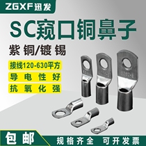 Peeping mouth copper nose SC120 150 185 240-630 square cold-pressed wiring bare terminal copper terminal 10 12