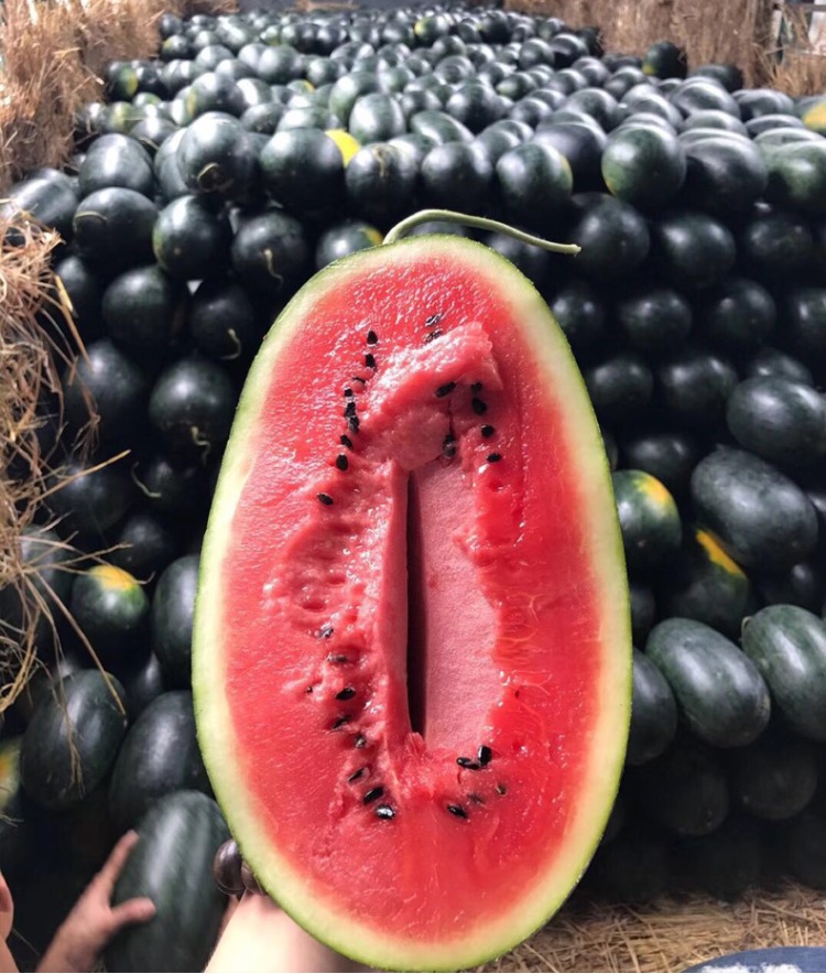 越南黑美人西瓜新鲜红心清甜多汁孕妇四季水果新鲜4-6斤现摘现发_7折