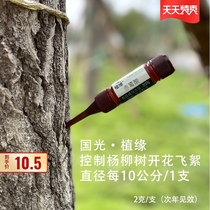 The Catkins inhibitor poplar catkins Yang catkins prevent Willow Poplar blooms fly catkins