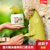 Guoguang muddled plant wound healing mixture fruit tree sealing glue coating agent bark damage repair apply callus cream