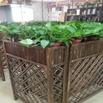 Yangtai Vegetable Basin Indoor Field Garden Gardening Solid Wood Mobile Landing Wood Flower Pot Grid Flower Groove Decoration Fence Rectangle