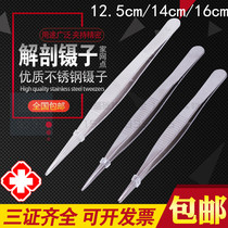 Stainless Steel Tweezers Straight Thin Pointed Anatomical Tweezers Repair Tweezers 12 5cm-16cm