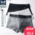 Cat nam cotton đồ lót nam mùa hè mỏng thoáng khí cotton boxer quần quần kích thước lớn gợi cảm nam boxer - Giữa eo