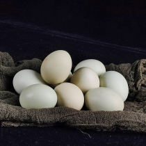 Guangxi Liuzhou Thaan Mountain Forest Released of Eggs Green Shell Farmhouse Loose Earth Eggs Fresh natural 30 Freshly Picked