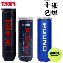 Teloon Tianlong P4 Tennis pound canned and resistant pressure foot P3 high elastic professional match Q1 training ball