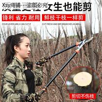 Garden Fruit tree pruning shears telescopic strong shears labor-saving strong thick branch shears high branch scissors horticultural scissors