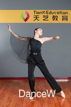 Dans dance high-end custom children's Latin dance modern dance ten-item training suit super fairy flower bract pants elegant