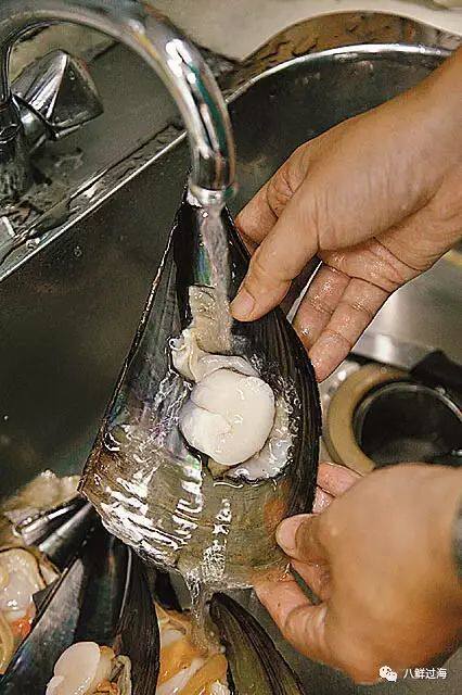 鲜香可口的江珧,半埋于沙滩之中的美味