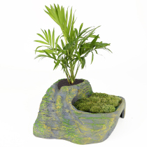 Turtle ecological landscaping decoration resin sun back table climbing can plant green plants to avoid cave simulation rock setting tide