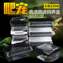 Reptile supplies plastic feeding box with lid Gougong Lizard Spider scorpion breeding small breeding box reptile