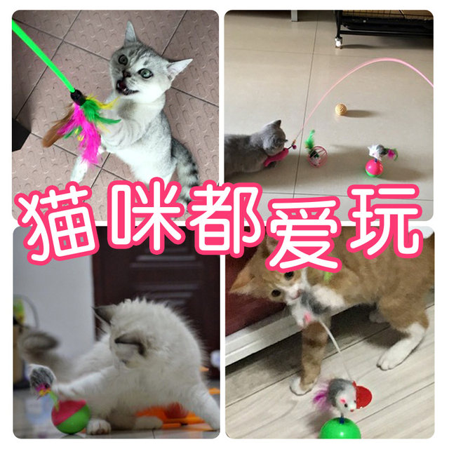 Cat toy set self laser pointer funny cat stick feather bell tumbler kitten grinding claw toy cat supplies Cat toy set self laser pointer funny cat stick feather bell tumbler kitten grinding claw toy cat supplies