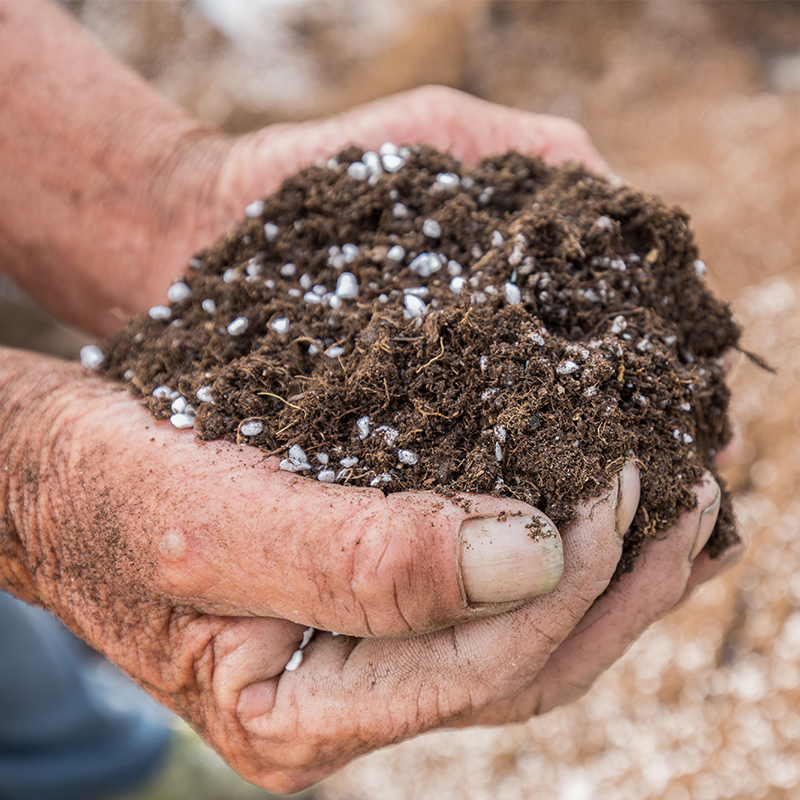 草莓种植土营养土多肉土通用型多肉种植土有机土泥炭土原生态草炭
