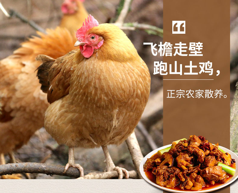 飞檐走壁跑山土鸡,正宗农家散养。-推好价 | 品质生活 精选好价