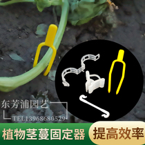 Plant plastic binding clamp cramming crawling runner fixer strawberry fixed fork press crammer grafting clamp
