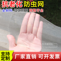Customized for the Anti-Bird Net for the Vegetables for the Vegetables Thicking Nylon Farm Anti-Mosquito Net for the Agricultural Insects Network