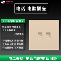 Songday 86 concealed A2 computer telephone socket household power wall type large board switch panel