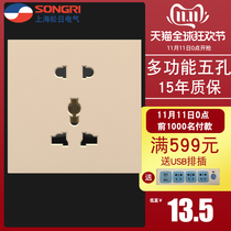 Shanghai Songday 86 concealed A2 multi-function five-hole socket household power wall large board switch panel