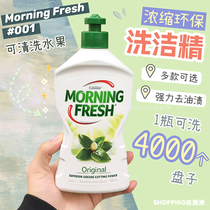 Australia Morning Fresh concentrated environmental detergent fruit cleaning agent imported
