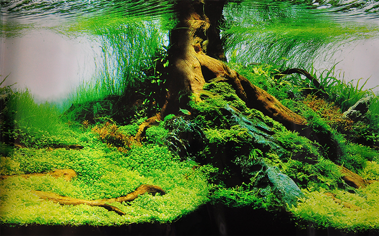 鱼缸背景图画纸高清图3d立体鱼缸装饰贴纸壁纸水族箱造景装饰贴画