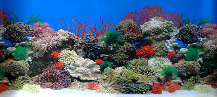 鱼缸背景图画纸高清图3d立体鱼缸装饰贴纸壁纸水族箱造景装饰贴画