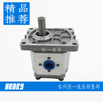 Special CBN-F320 CBN-F325 of the gear pump hydraulic station lifting table for 1 year