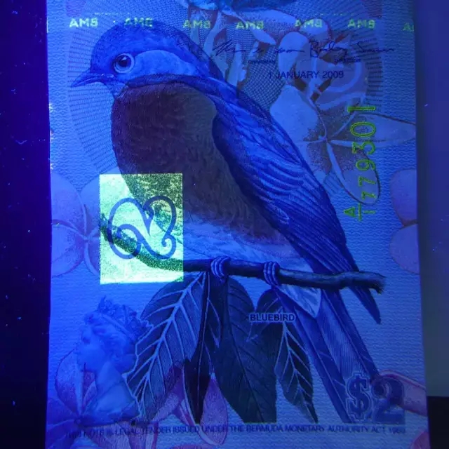 award-winning currency bermuda 2 yuan blue bird bird banknote 2009 world super us banknote p-57b