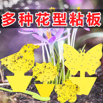 Double-sided sticky insect board yellow board lure board butterfly shaped yellow board household potted flowers succulent rose sunflower