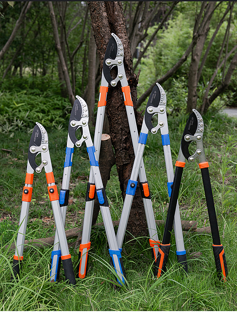 整枝剪园艺修剪树枝剪省力修枝剪果树剪刀伸缩粗枝剪省力剪大力剪