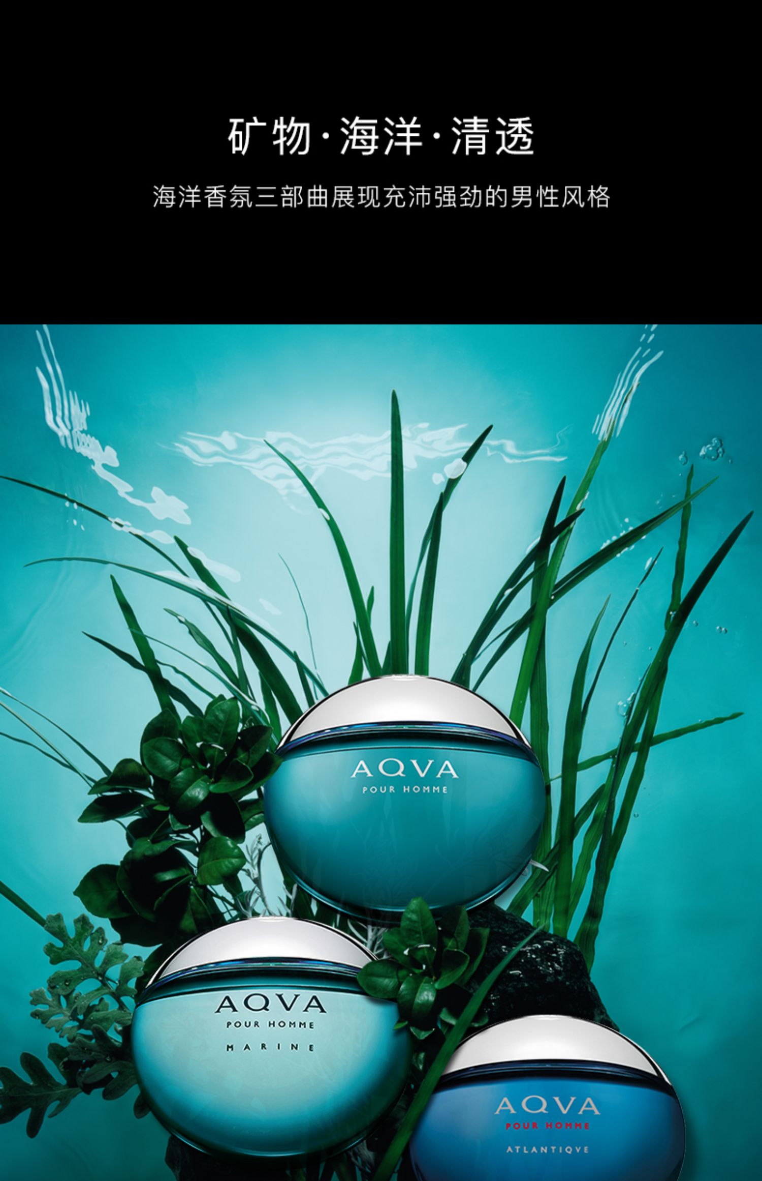 bvlgari宝格丽海滨海韵碧蓝水能量男士淡香水50ml海洋清新持久