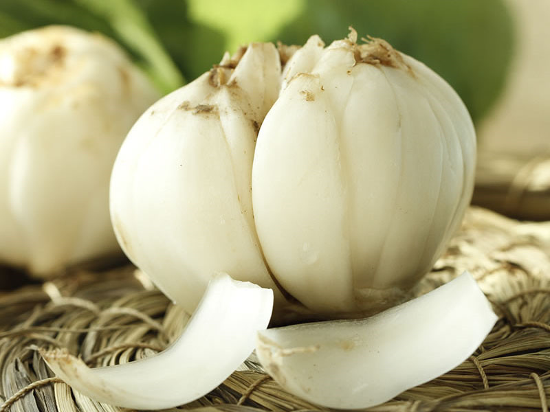 百合味甘,性微寒,入肺,脾经,营养滋补,药食俱佳!