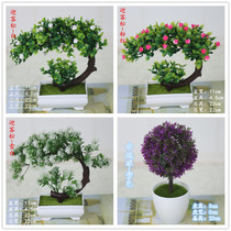 Simulated plant small potted bonsai welcome pine green plant fake flower small tree grass ball living room decoration small ornaments