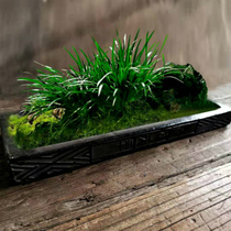 Zhangjiabuild retro Han brick flower pot money Calamus Basin Coarse Pottery Multi-Flesh Moss Bonsai Ceramics China Wind Table Swing