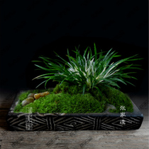 Zhangjia Imitation Ancient Flower Pot Retro Han Brick Basin China Wind Home Furnishing Multi-Meat Money Calamus Wenzhu Guanyin Bamboo