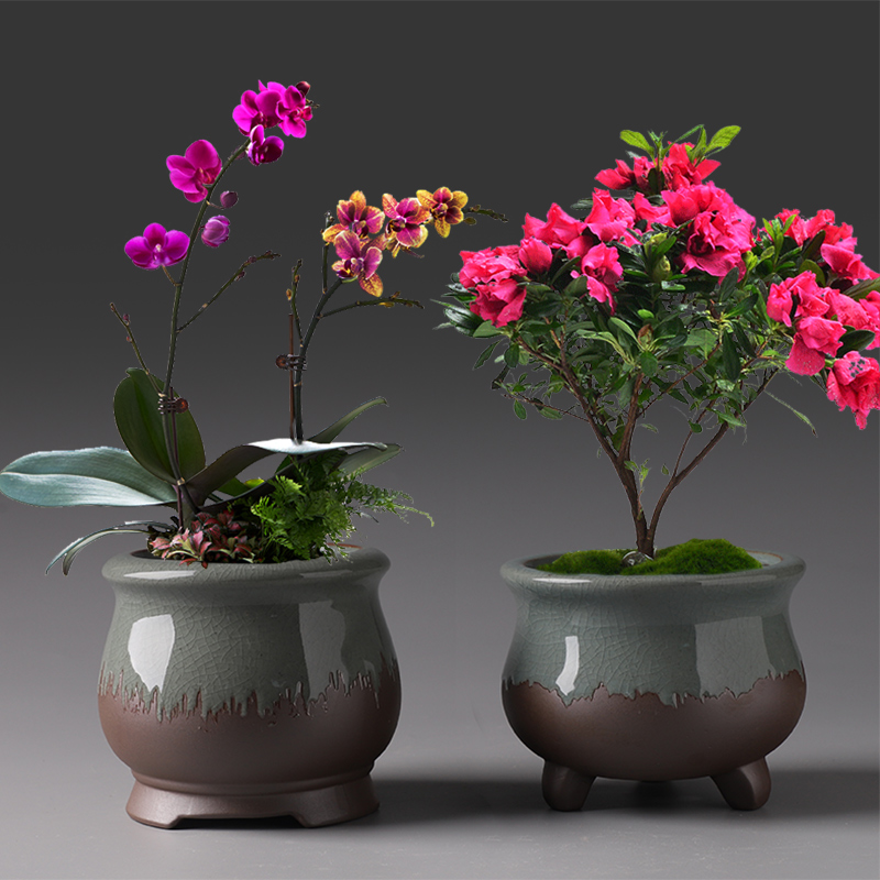 Purple sand flowerpot ceramic Chinese wind restoring ancient ways money plant air pot clay most creative flower pot meat meat meat the plants