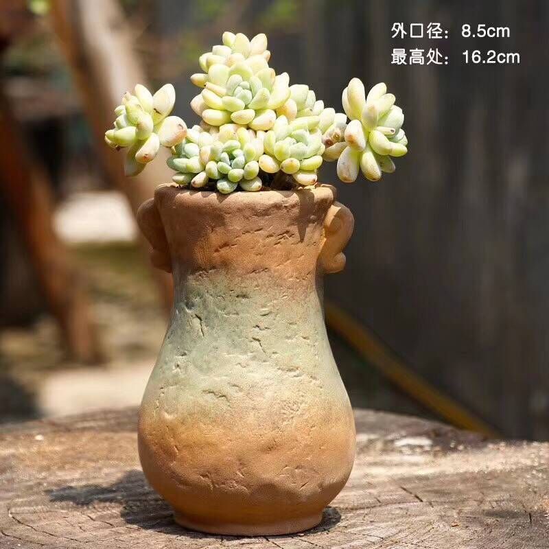Old running the pot clay ceramic zhuang zi mage, coarse pottery creative Chinese wind restoring ancient ways flesh flower pot in a large, fleshy
