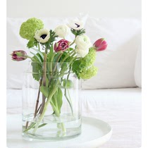 ins transparent glass vase flowers hydroponic vase trapezoid closure flower arrangement flower flower arrangement home decoration vase