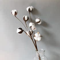 Nordic handmade cotton dried flower arrangement decoration cotton bouquet making flower material photo pendulum props