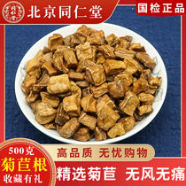 Tongrentang chicory root tea wild fresh long white mountain chicory root can be matched with gardenia dandelion bulk 500g