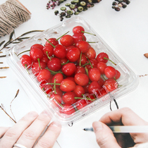 125g Disposable Transparent Fruit And Vegetable Box Blueberry Packaging Box Covered Cherry Box Raspberry Cranberry Box Mulberry Fruit Box