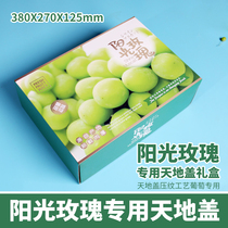 Sunshine Rose Grape Exclusive Packaging Box Gift Box High Gear Gift Box 5 Catty 10 Catty Japanese Green Lift Sign Hand Bag