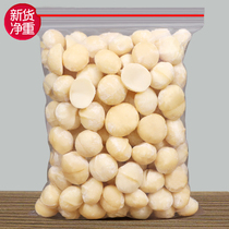 Fresh Macadamia nuts 500 baked raw raw half raw cooked shelled summer fruit nuts dried fruit snacks