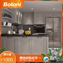 Boloni overall cabinet custom European combination storage kitchen Quartz stone countertop prepaid gold Elizabeth