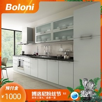 Boloni custom kitchen overall cabinet storage modern simple combination cabinet custom prepaid Oslo