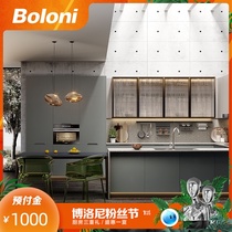 Boloni overall kitchen cabinet custom modern simple kitchen combination storage cabinet Quartz stone countertop deposit new