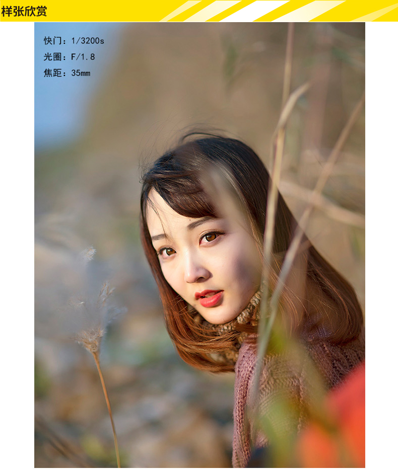 nikon/尼康镜头 af-s dx nikkor 35mm f/1.8g 尼康35/1.8g