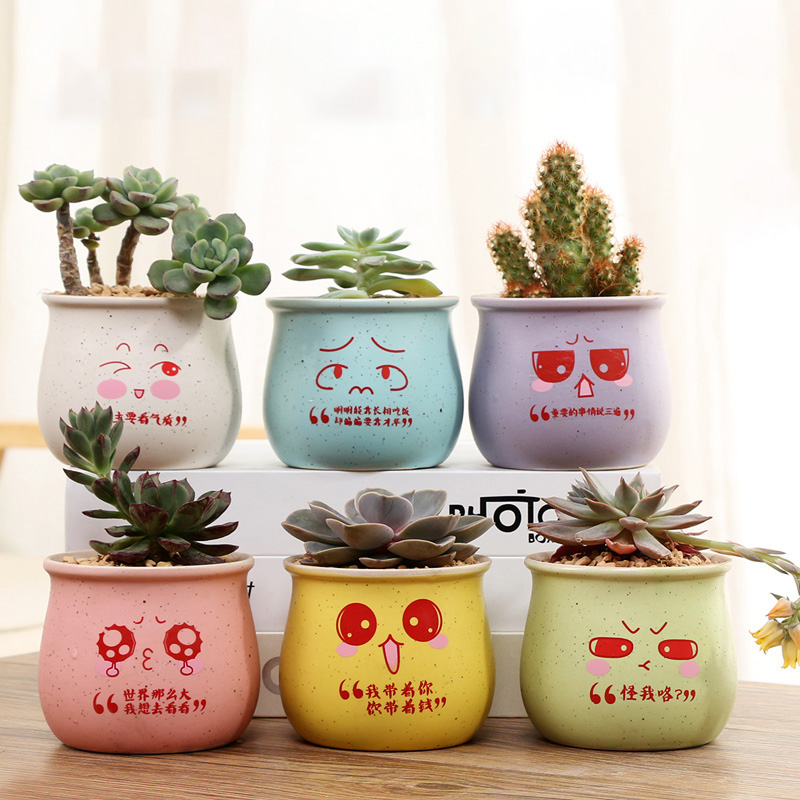 Fleshy flower pot set combination of creative move cartoon Fleshy plant small ceramic bowl package mail special offer a clearance