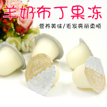 Hamster snack rabbit snack guinea pig Dutch pig nutrition snack goat milk pudding jelly 1